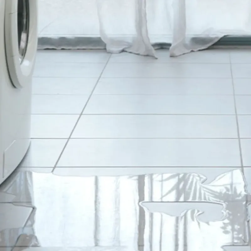 Appliance Leak Cleanup in Meadowbrook, VA