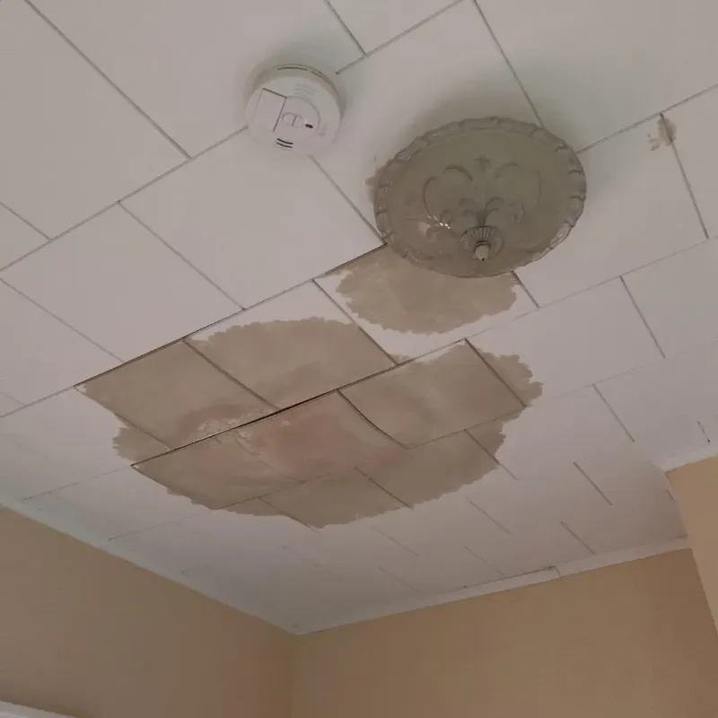 Ceiling Water Damage Repair in Meadowbrook, VA